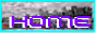home button